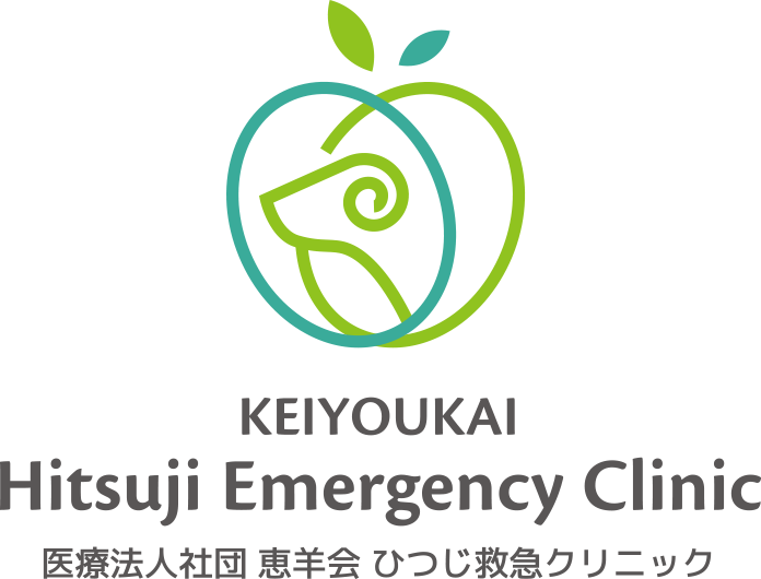 医療法人社団 恵羊会 ひつじ救急クリニック
